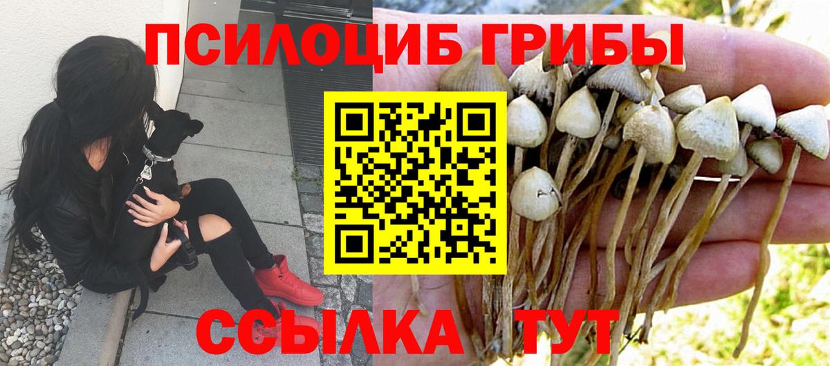Псилоцибиновые грибы прущие грибы Мелеуз