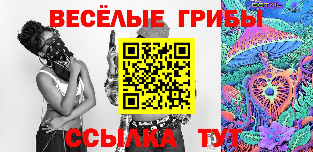Псилоцибиновые грибы Cubensis  Вход с VPN  Мелеуз 